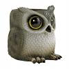 Hootie Holder Owl Desktop Home Décor Pen and Pencil Holder