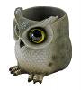 Hootie Holder Owl Desktop Home Décor Pen and Pencil Holder