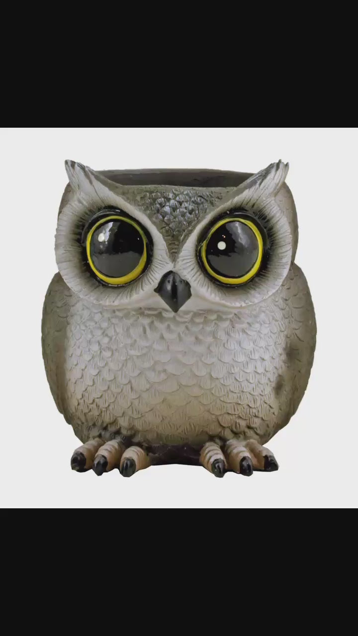 Hootie Holder Owl Desktop Home Décor Pen and Pencil Holder